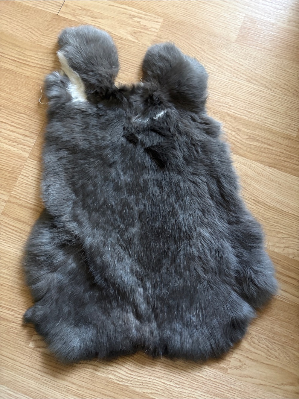 B0098 rabbit pelt